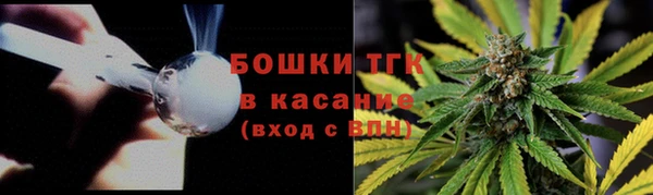 шишки Алексеевка