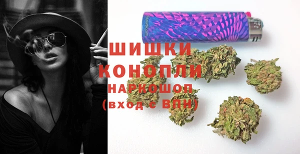 шишки Алексеевка