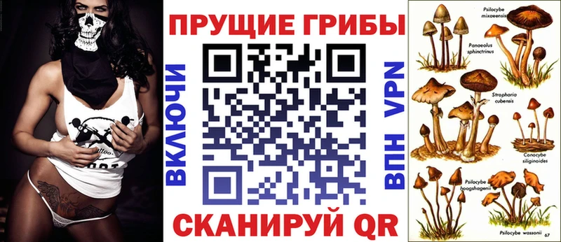 Псилоцибиновые грибы ЛСД Палласовка